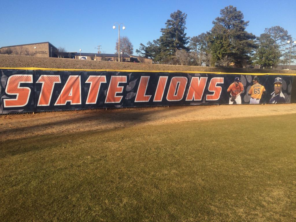 suchey24's tweet photo. Newest addition to the centerfield fence! #lionsintheMLB @ZelousW @kimbrel46 @JElmo10 @Dutch_Oven45 @Grahamgodfrey45 http://t.co/bQ82l8WMf1