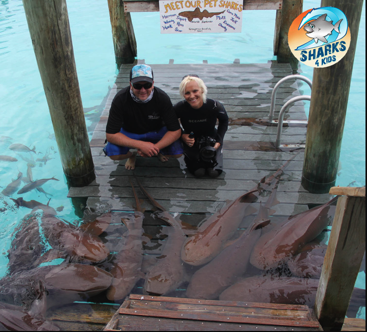 Sharks4Kids's tweet photo. Check out story about #NurseSharks on @EnTidaled http://t.co/BuAAlCD2gW  #WhatDoYouLove #sharks #savesharks #UWphoto http://t.co/l7pdl7jN0L