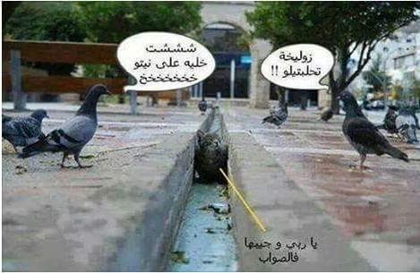 tima_triangle's tweet photo. @ivana_abeer @nanosh477 @3loOoOoshali @haider881165 @haidara33sy http://t.co/sI40wuP2v9