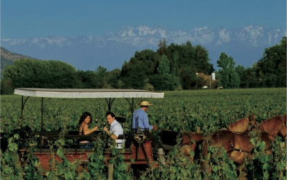 chiletravel's tweet photo. What's your idea of #luxurytravel in #Chile? A vineyard to yourself, plenty of #wine to taste? http://t.co/5b6VvDYBqZ http://t.co/46cBJJYukl