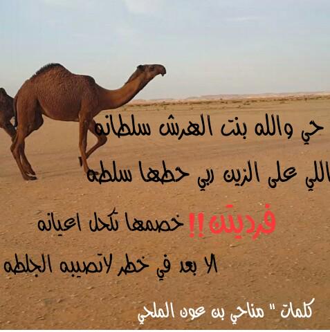 مناحي بن عون السبيعي (@munahi2015) on Twitter photo 