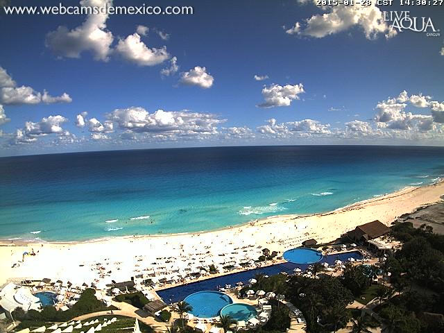 Live Aqua tweet media