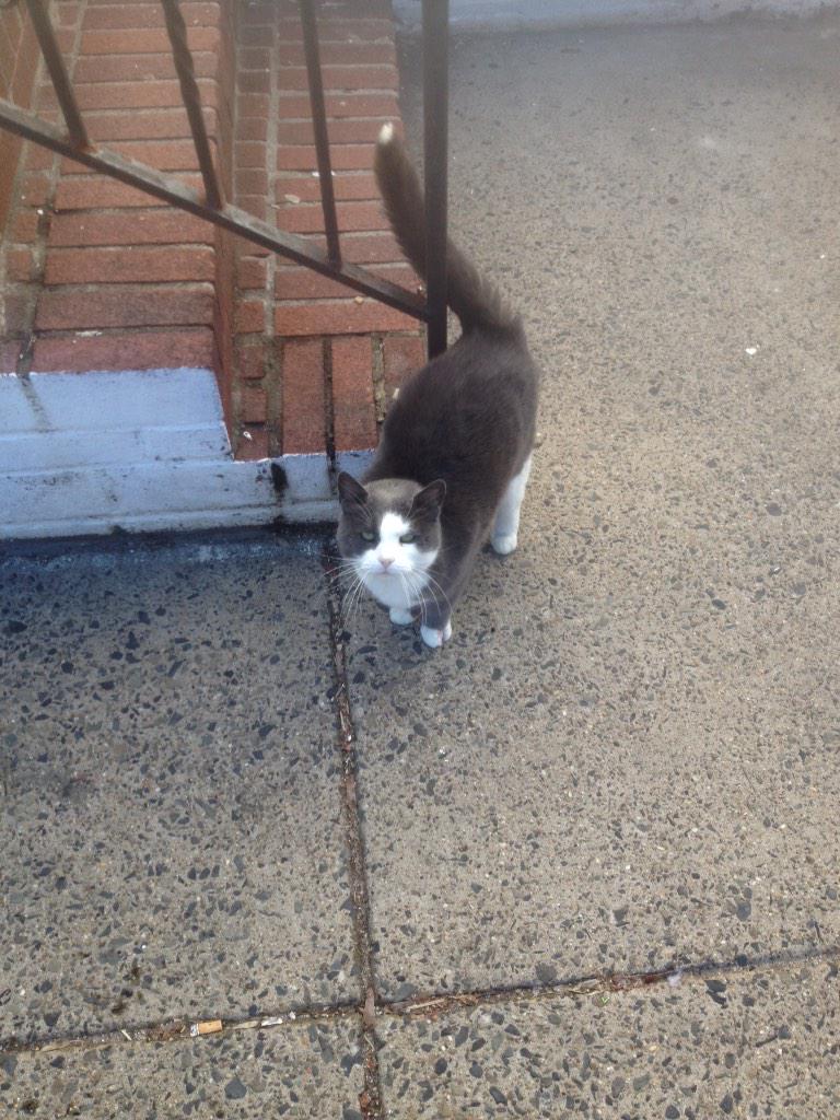 New Secret Plot song in February? #whatsthatabout