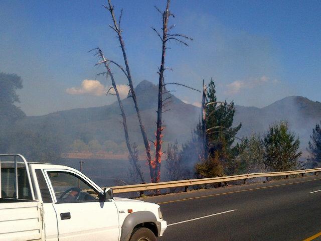 Mitres_Edge's tweet photo. Careless cigarette thrower caused a fire on our neighbours farm this pm, which spread to two others and nearly us! http://t.co/i6GbjYikLK