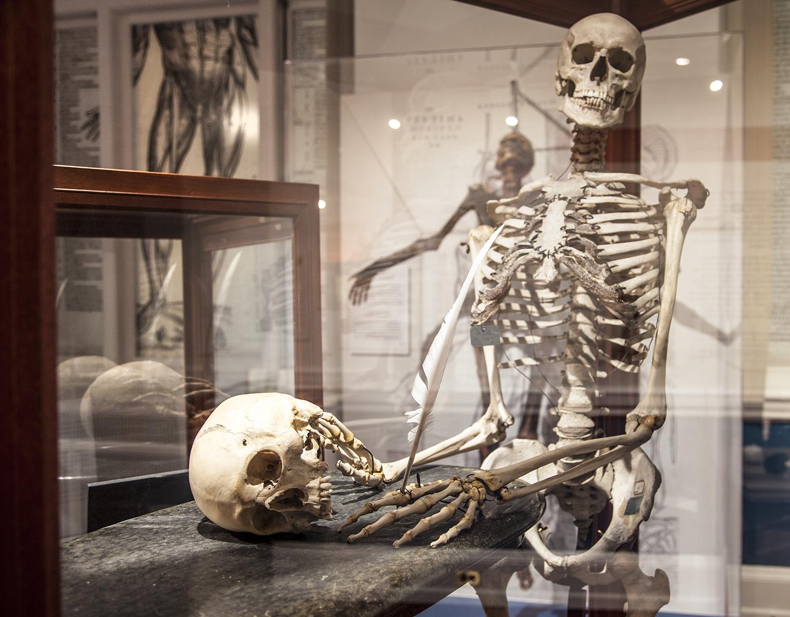 Mütter Museum on X: 