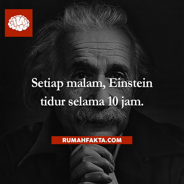 rumahfakta's tweet photo. Setiap malam, Einstein tidur selama 10 jam. http://t.co/2fU7uEwTJZ