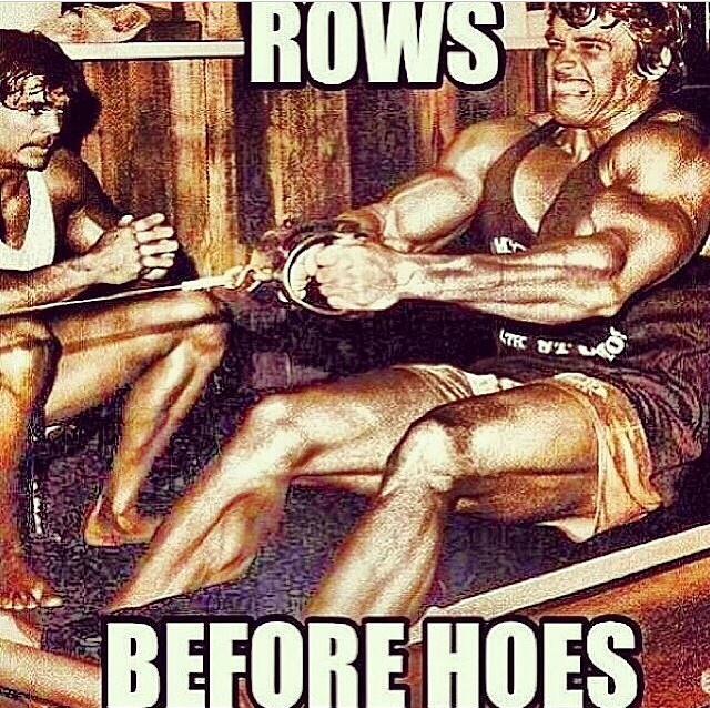 Rows >>> Hoes