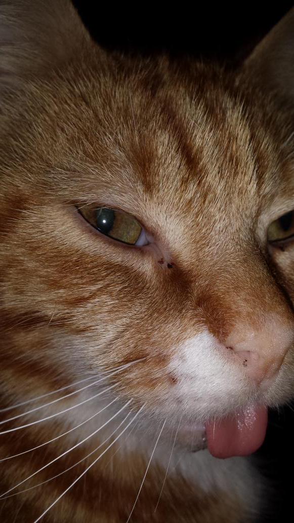 micrababe's tweet image. 