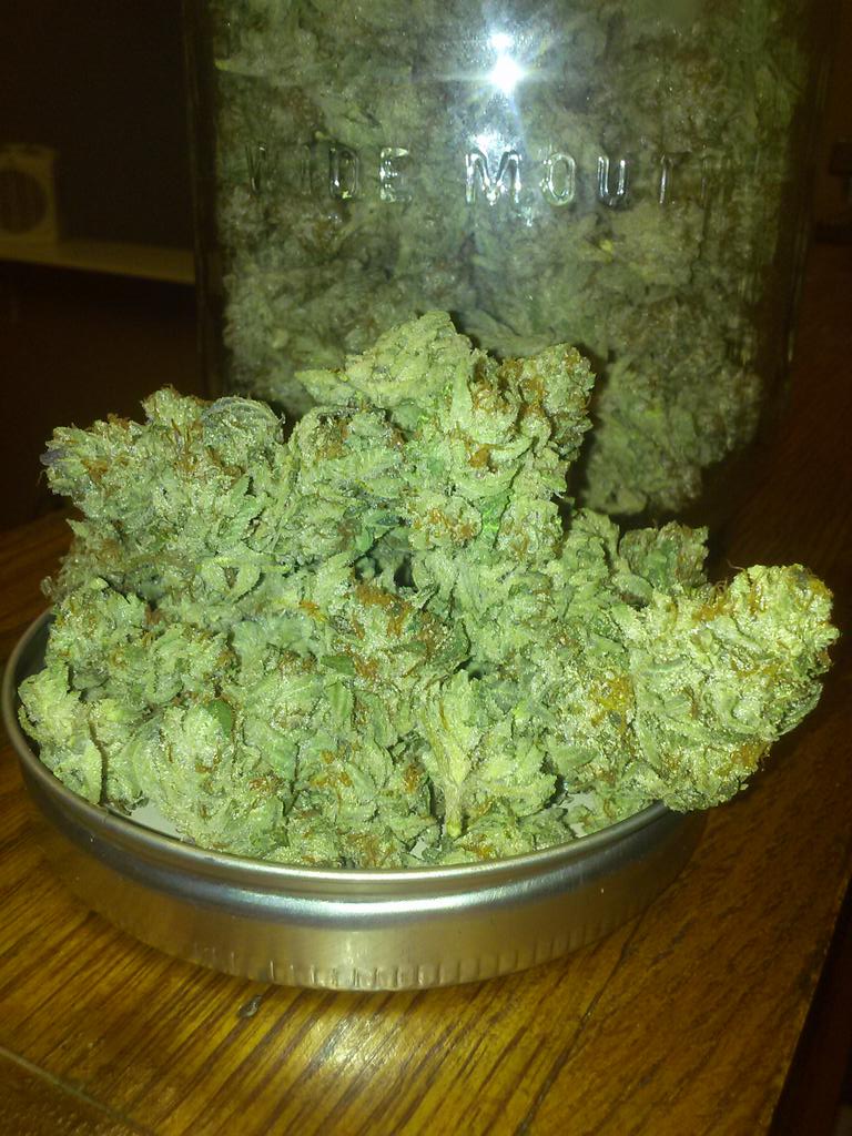 SJ_Fire_House's tweet photo. Retweet if you want to smoke some of this #LAKush with us! (LA Con x LA Affie). One of our prized top shelf indica's. http://t.co/Rf6LT1f75S