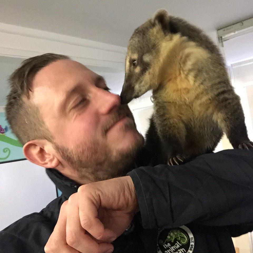 AnimalManBham's tweet photo. With Jimmy.. The baby Coati http://t.co/GsseApkKQp