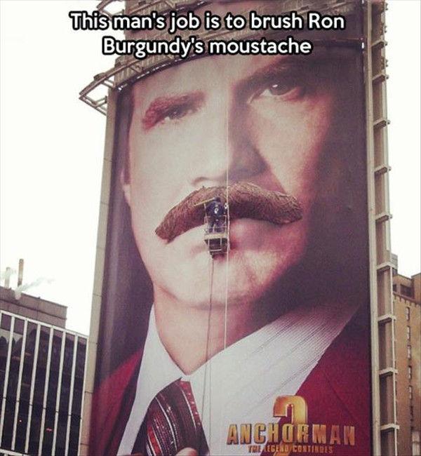 memebinge's tweet photo. Best job in the world http://t.co/0GyYbt5ZO5 #funny #lol #memes http://t.co/uhka0d2G3i