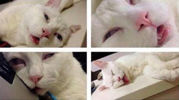 TheComedyHumor's tweet photo. Current mood http://t.co/4kvkwSlqnu
