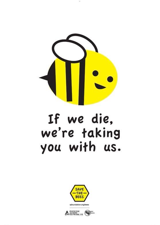 Hive of Beeauty tweet media