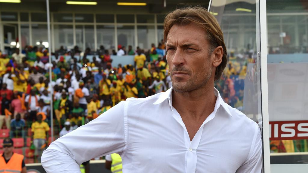 France24_fr's tweet image. #CAN2015 Côte d’Ivoire-Algerie : Hervé Renard prépare des &quot;misères&quot; aux Algériens f24.my/1wBILln #CIV #CIVALG