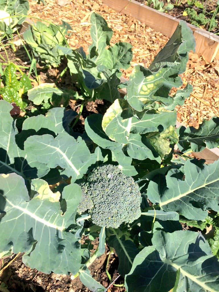 Tiffany Myers Walker tweet media