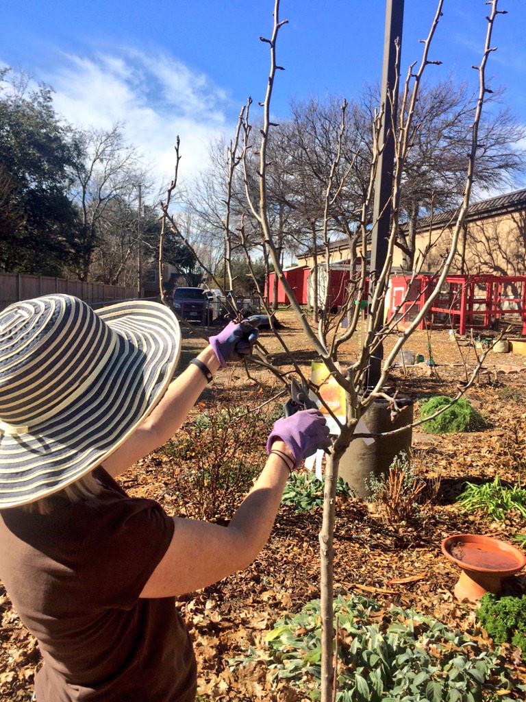 Tiffany Myers Walker tweet media