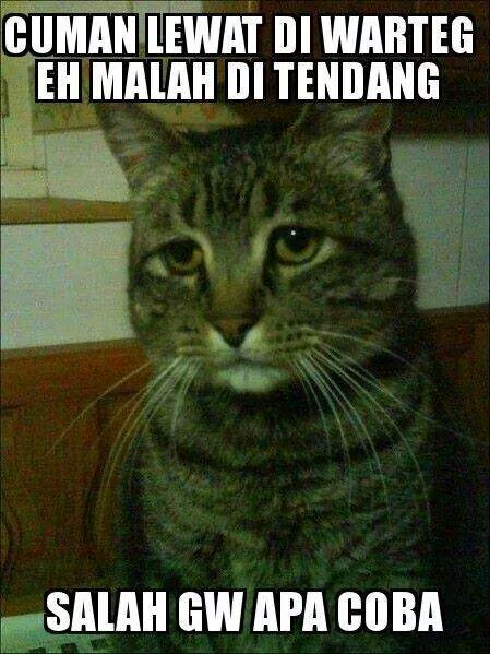 jayanto_28's tweet photo. Apa salahnya dia? http://t.co/uCZSsLhqf4