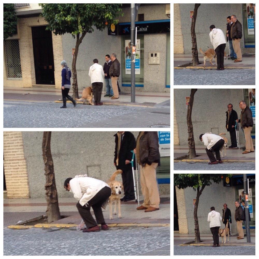 charoglez1961's tweet photo. UN ACTO DE CIVISMO, para quien no lo conozca se llama Manolo Cepeda, es Invidente. Yo creo que sobran las palabras. http://t.co/5rf0JOiA2K