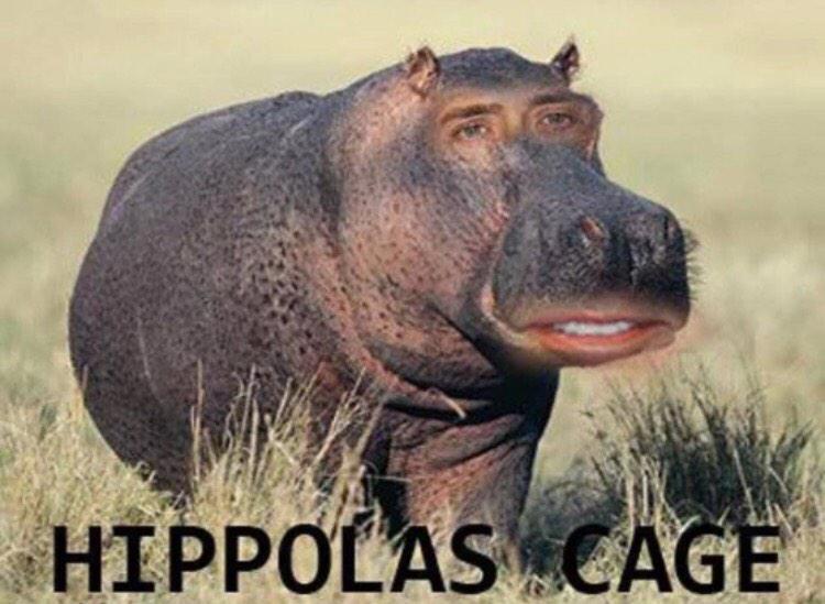 Bryce Iain Hanna tweet media