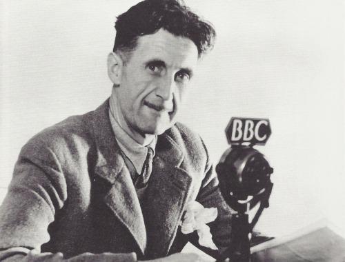 History Photographed tweet media