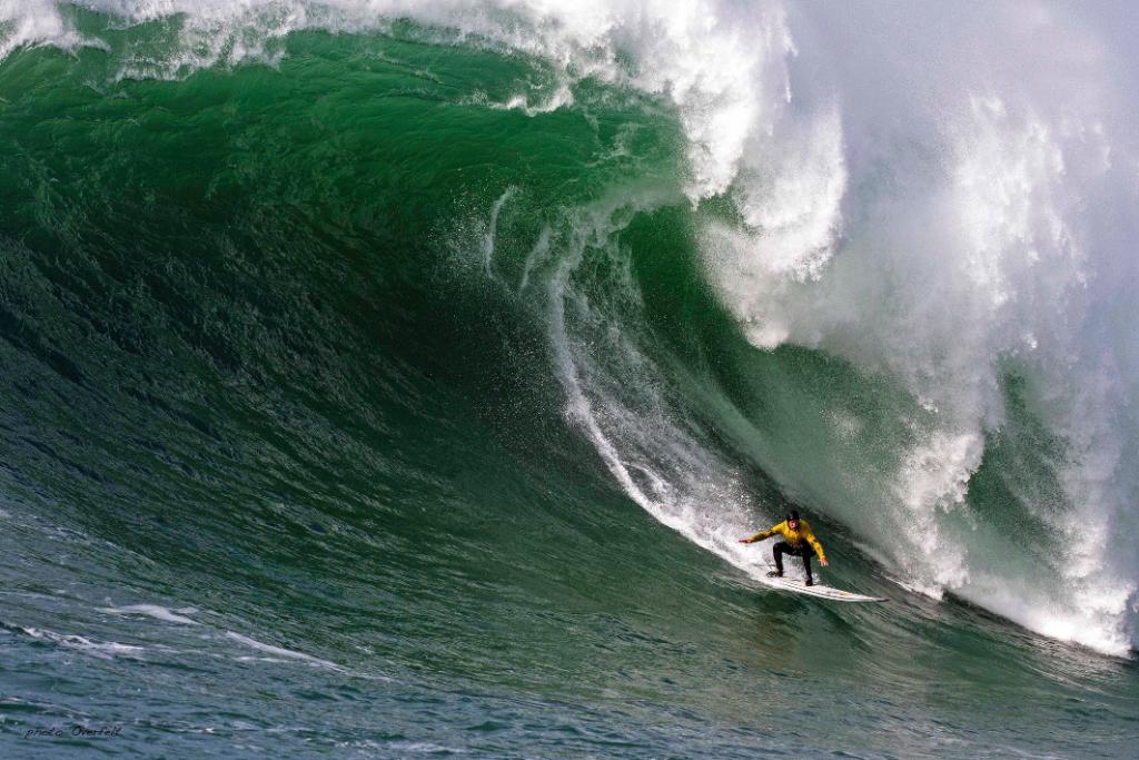 redbull's tweet photo. #ThingsToRunFrom http://t.co/4xCLetrWQL