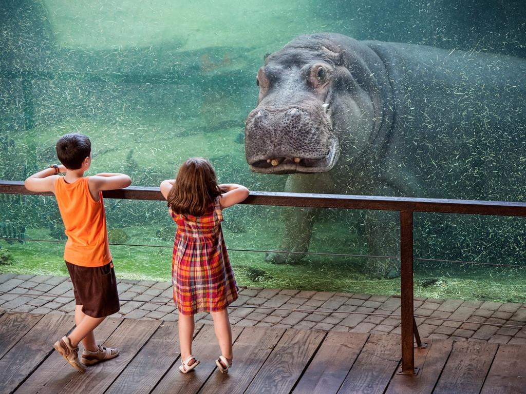 Embedded image permalink