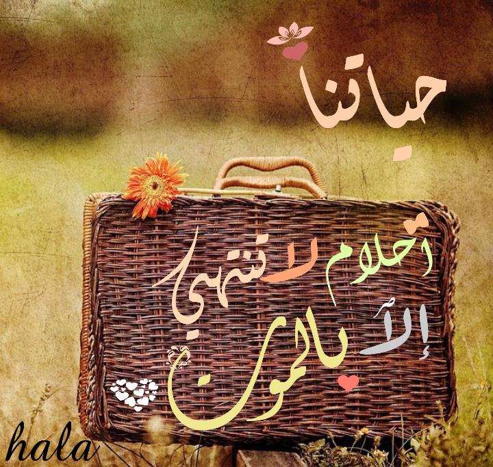 HalyHala's tweet photo. http://t.co/fAv60vbg3d
