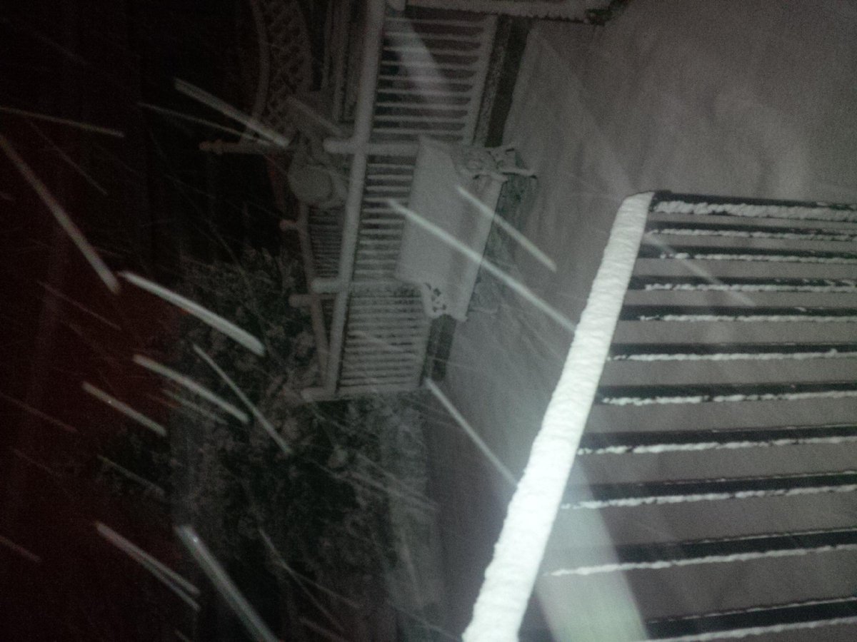 Andy13 Pandy tweet media