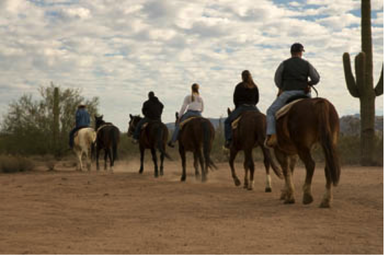 Transdev_AZ's tweet image. Transportation in the Valley of the Sun is so unique. Show us how you get around the city with #myaztransport