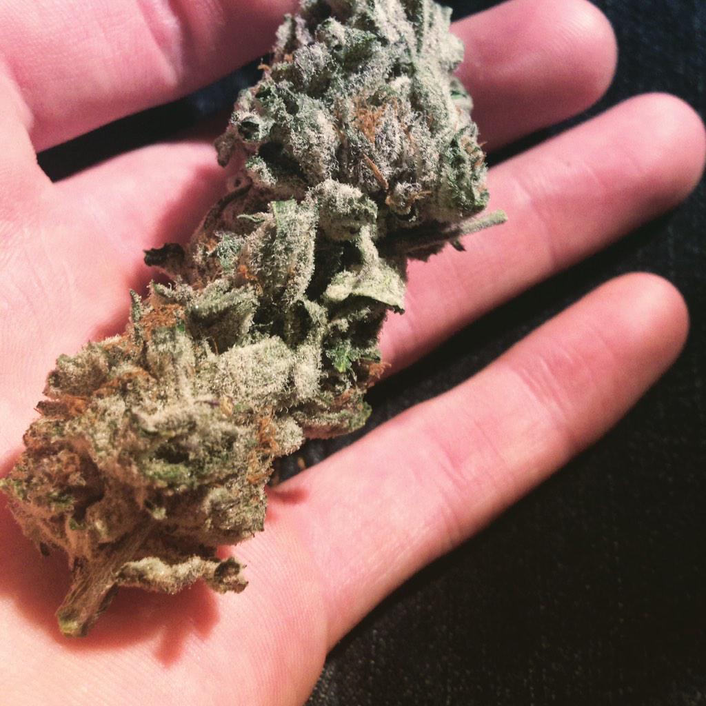 MilesRandom2's tweet image. #loud #GreatBud #StayLifted #stonerhoroscopes #Marijuana #420mj #allglorytogod