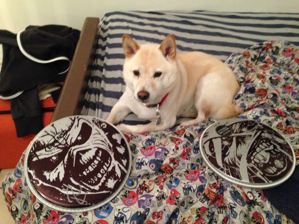 thunderer122's tweet photo. @RandallWeitzel eddie wants to know when you'll be doing more. !!! http://t.co/ktDTx0YWgH