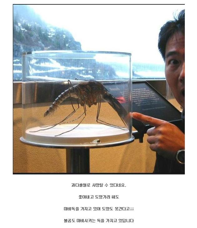 후리덤 tweet media