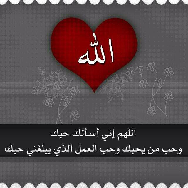124Alotibiailco's tweet photo. سبحان من يولج ال��ل بنهار ويولج النهار باليل لاإله الى هو المحيط ب الزمان والمكان اللهم أنر قلوبنا بذكرك🌹 http://t.co/5M6NCt2x3u