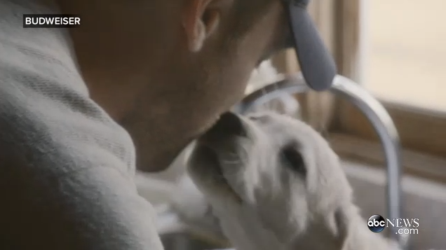 GMA's tweet photo. Oh my. Most adorable/heart-warming @SuperBowl ad of all-time? #GMASuperBowl http://t.co/cPl50j4hZv http://t.co/hk7Wcxdh6X
