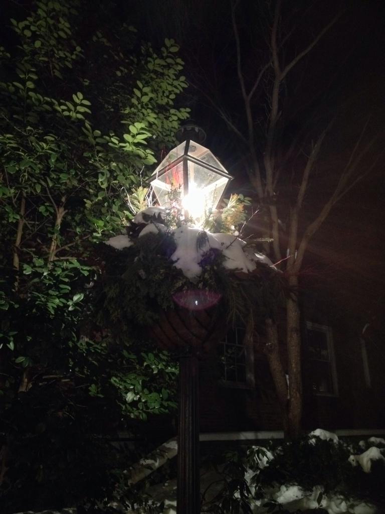 WordsMusicLife's tweet photo. Night fell, and still the #DeepQuiet. I think I've made up for that horribly noisy breakfast by now. #Wednesday http://t.co/1w2KcmnGGx