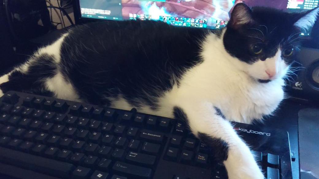 Embedded image permalink