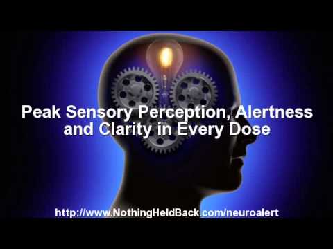 mindwarzblog's tweet image. #BrainAndMemoryPowerBoost #BrainFood #BrainEnhanc Focus Factor ... h ... mindwarz.com/focus-factor-f… ...