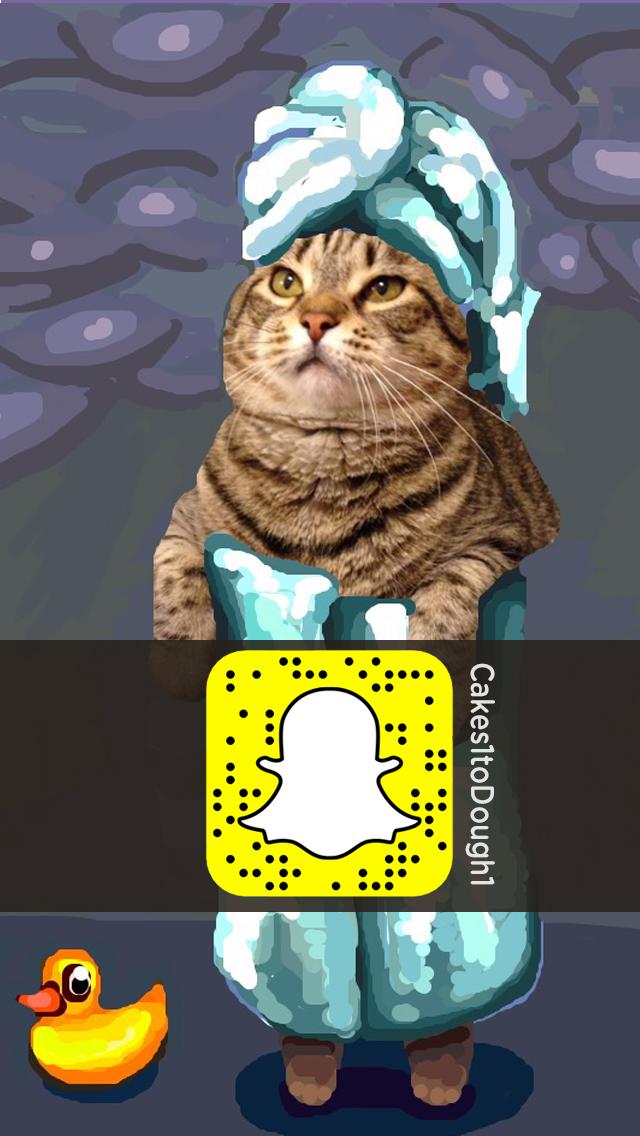 Image result for PETSMART on snapchat