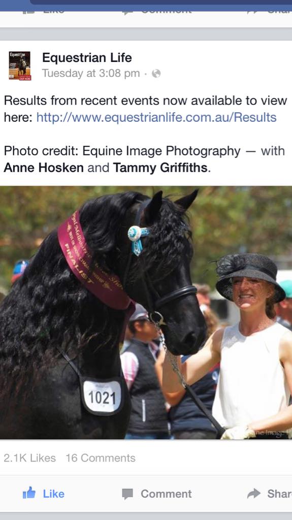 Equine_Image's tweet photo. To see some photos from RMHS 2015 can go to @equestrian_life FB page or Equine Image Photography FB page http://t.co/25KpbbGYTO