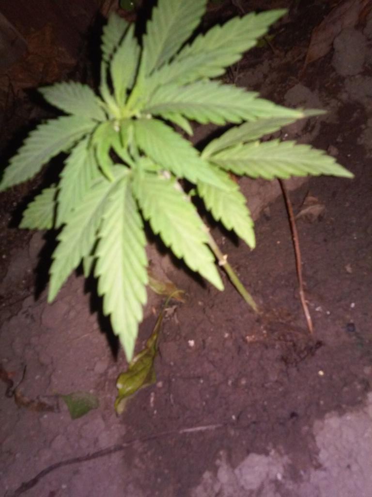 _daddy_dregs___'s tweet photo. 😀 http://t.co/oRxf8YhHCM