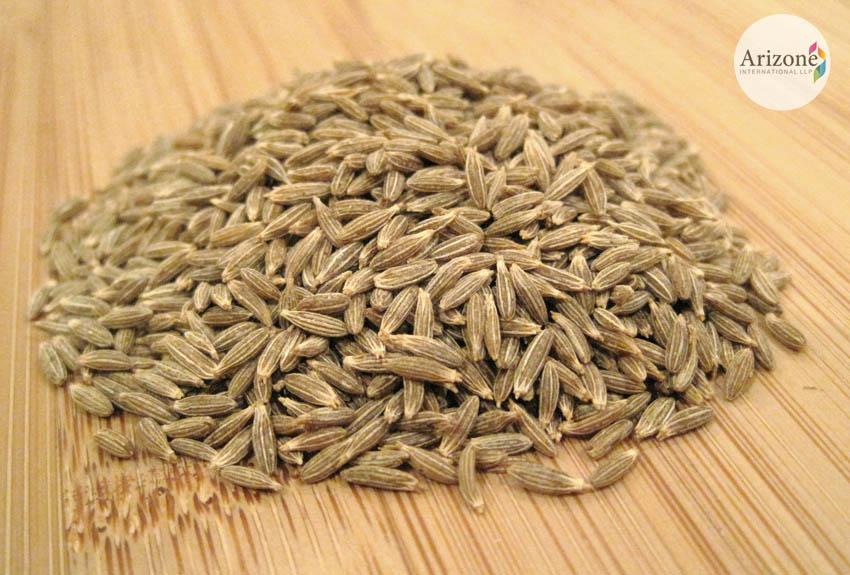 arizonein's tweet photo. Like every single #Food, #CuminSeeds also have both #Benefits and #SideEffects.
#Seeds #Spices
http://t.co/nrVNt62zEK http://t.co/M9vnFdfpzR