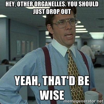 MitochonSLAYAH's tweet photo. Mhmmm....word #AHSOIC15 http://t.co/O2YZYRmyFW