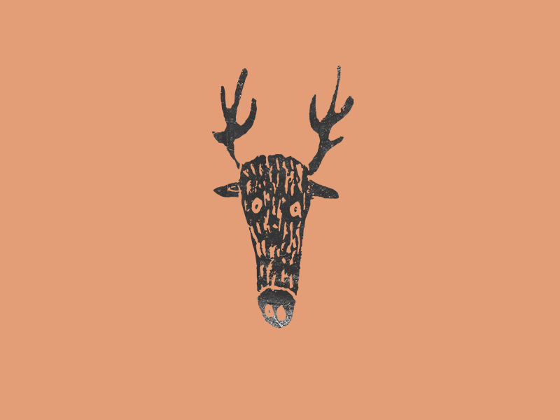 NextShip's tweet image. Animal Deer #deer @fignarlev #forestinhabitants