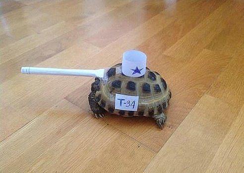 Pagirevolucija's tweet image. Tanks! :D