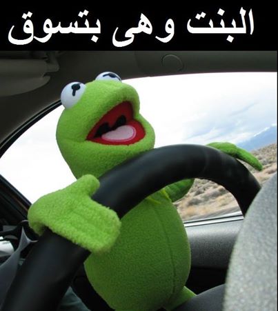 شكل البنت وهي تسوق ! ☺
ههههههههه تحشيش 
ed7aak.com/?p=103
#شي_ودك_يتحقق_الحين
#الواحد_صعب_يغرد_وهو
#اذا_صحلي