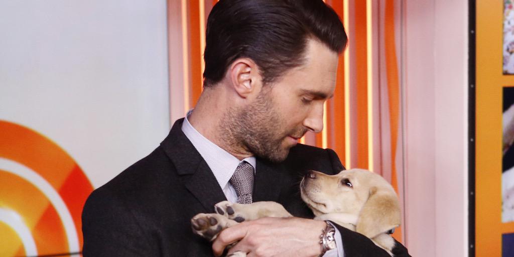 HitNetworkAUS's tweet image. Q. What's better than @AdamLevine &amp;amp; puppies?
A. Adam Levine on #DanAndMaz.

It happens tomorrow! (Soz, no puppies🚫🐶😩)