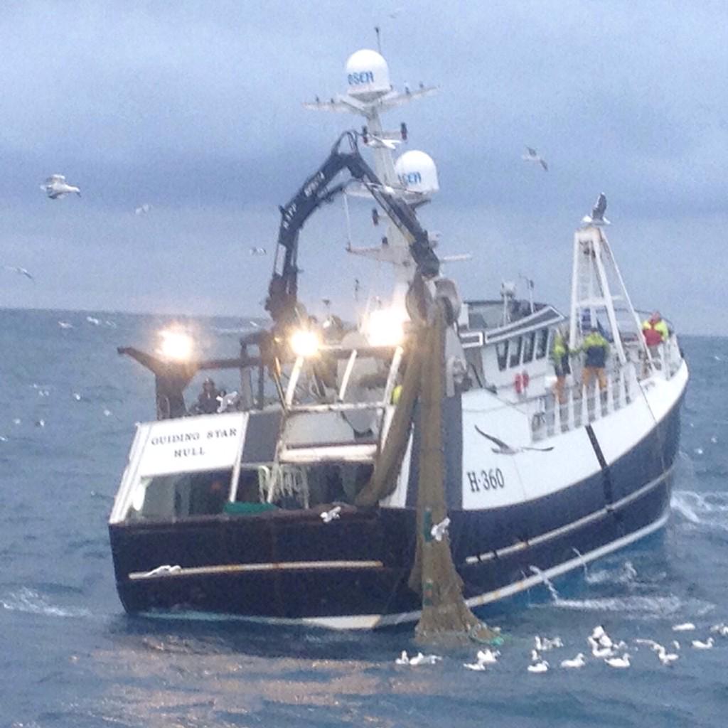 Lockers Fish tweet media