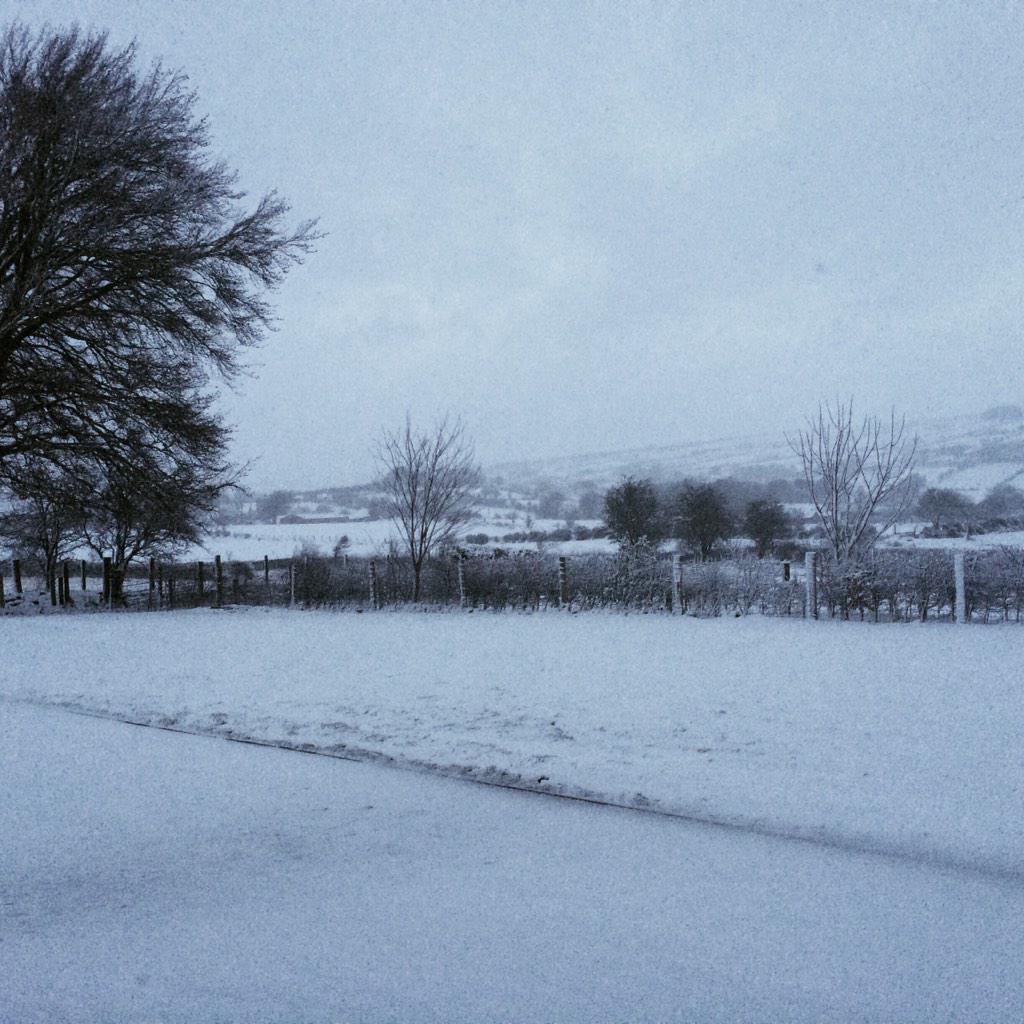 profsiobhanon's tweet photo. White everywhere, but not a drop of milk in this house. Anyone passing? #milkcrisis #milkfail @barrabest http://t.co/UWPuknTe2A