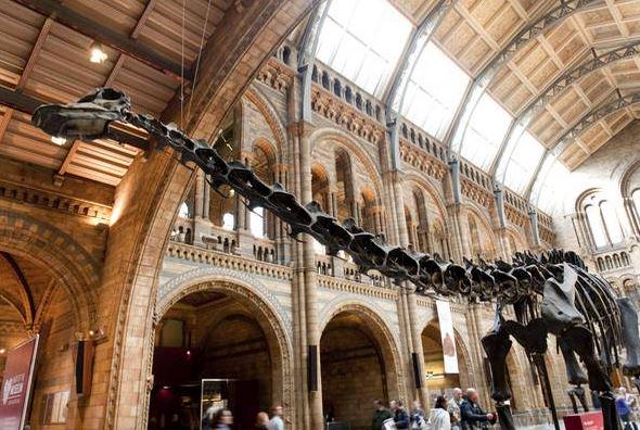 standardnews's tweet photo. The Natural History Museum is 'retiring' Dippy and replacing it with a blue whale... http://t.co/L9iqg6rPTE http://t.co/esNBABCwFO