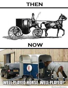 GeorgesRanch_cy's tweet photo. Well Played horse #horses #Cyprus http://t.co/RLfyFlqcbC